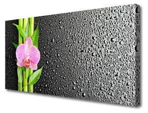 Tablou pe panza canvas Bamboo peduncul Floral Roz Verde