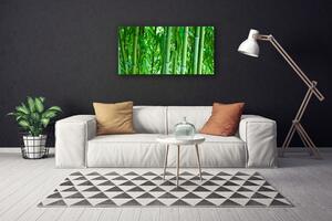 Tablou pe panza canvas Bamboo Peduncul Floral Verde