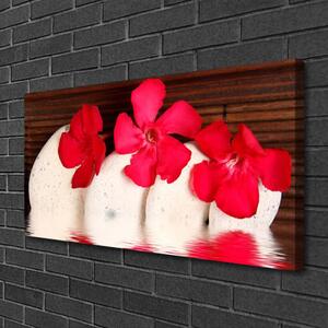 Tablou pe panza canvas Pietrele florale flori Roșu Alb