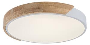 Rabalux Maple2 lampă de tavan x24 W alb-lemn 71417