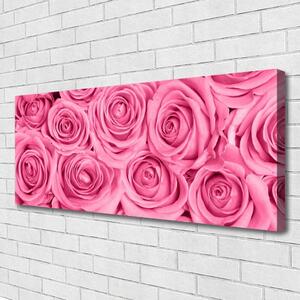 Tablou pe panza canvas Trandafiri roz Floral