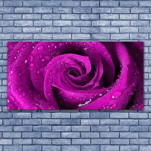 Tablou pe panza canvas Rose Floral roz