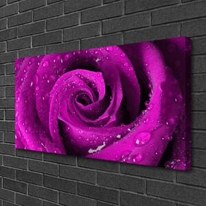 Tablou pe panza canvas Rose Floral roz