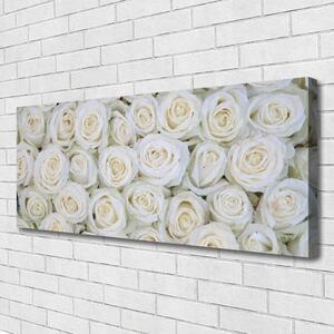 Tablou pe panza canvas Trandafiri Floral Alb