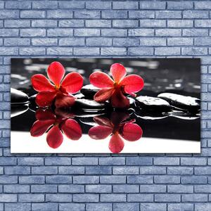 Tablouri acrilice Pietrele florale flori Roșu Negru