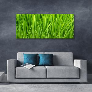 Tablou pe panza canvas Weed Floral Verde