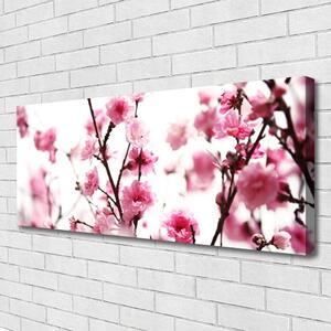 Tablou pe panza canvas Ramuri de flori Floral Brown roz