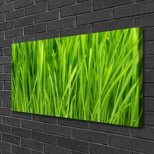 Tablou pe panza canvas Weed Floral Verde