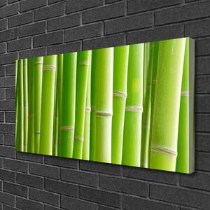 Tablou pe panza canvas Bamboo Tulpini Floral Verde