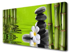 Tablou pe panza canvas Bamboo Tube flori Stones Arta Verde Negru Alb