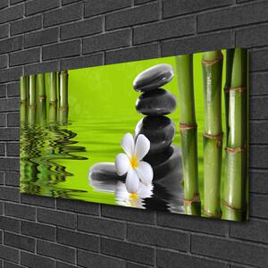 Tablou pe panza canvas Bamboo Tube flori Stones Arta Verde Negru Alb