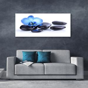 Tablou pe panza canvas Pietrele de flori Arta Albastru Negru