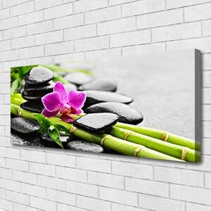 Tablou pe panza canvas Bamboo Tube flori Stones Arta Verde Rosu Negru