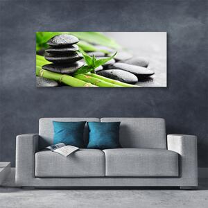 Tablou pe panza canvas Bamboo Tube pietre Floral Verde Negru