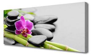 Tablou pe panza canvas Bamboo Tube flori Stones Arta Verde Roz Negru