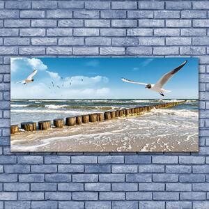 Tablou pe sticla Seagulls Sea Peisaj Gri Albastru Alb