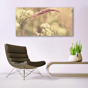 Tablou pe panza canvas Plante sălbatice Floral Alb Brun