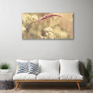 Tablou pe panza canvas Plante sălbatice Floral Alb Brun