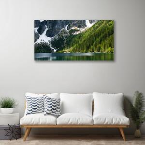 Tablou pe panza canvas Lacul Munții Peisaj Forestier Gri Alb Verde