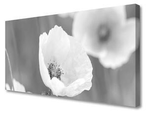 Tablou pe panza canvas Maci Floral Gray