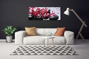 Tablou pe panza canvas Pietrele de flori Arta Negru Roșu