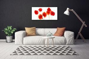 Tablou pe panza canvas Maci Floral Rosu Negru