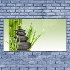 Tablou pe sticla Bamboo Ierburile Floral Verde Negru