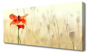 Tablou pe panza canvas Poppy Floral Roșu Verde