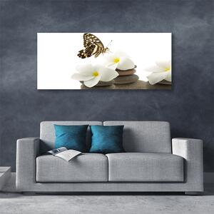 Tablou pe panza canvas Butterfly Pietre florale flori verde Alb Gri