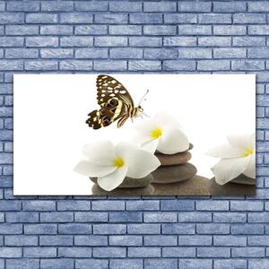 Tablou pe panza canvas Butterfly Pietre florale flori verde Alb Gri