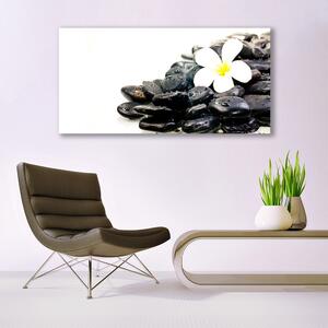 Tablou pe panza canvas Pietrele de flori Arta Alb Negru