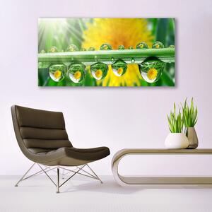 Tablou pe panza canvas Stem Picături de rouă Floral Verde