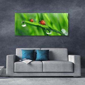 Tablou pe panza canvas Ladybird Beetle Floral Verde Roșu Negru