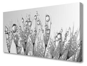 Tablou pe panza canvas Abstract Floral Gray