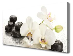 Tablou pe panza canvas Pietre florale flori alb negru