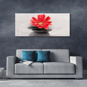 Tablou pe panza canvas Pietrele de flori Arta Orange Gray