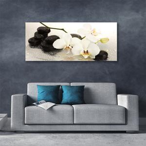 Tablou pe panza canvas Pietrele de flori Arta Alb Negru