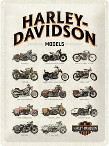 Tablou metalic decorativ Harley Models 30x40 cm