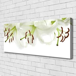 Tablou pe panza canvas Flori Floral Verde Alb Maro