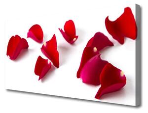 Tablou pe panza canvas Petale Floral Red