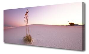 Tablou pe panza canvas Desert Peisaj Brown