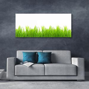 Tablou pe panza canvas Weed Natura verde