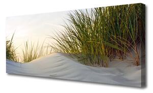 Tablou pe panza canvas Nisip Iarbă Peisaj Gri Verde
