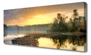 Tablou pe panza canvas Lacul Pietrele Peisaj Forestier Gri Verde Alb Galben