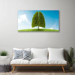 Tablou pe panza canvas Iarbă copac verde natura