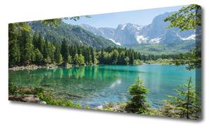 Tablou pe panza canvas Munții Seewald Natura Gri Verde Albastru