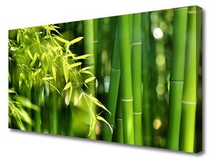 Tablou pe panza canvas Frunze de bambus verde florale