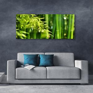Tablou pe panza canvas Frunze de bambus verde florale