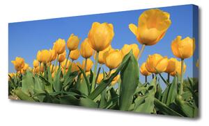 Tablou pe panza canvas Lalele floral galben