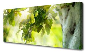 Tablou pe panza canvas Filiala de mere Bucatarie Verde Brun